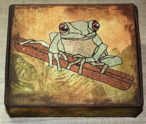 Red-Eyed-Tree-Frog-Box-using-Mica-LARGE